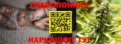 прущие крисы Ипатово