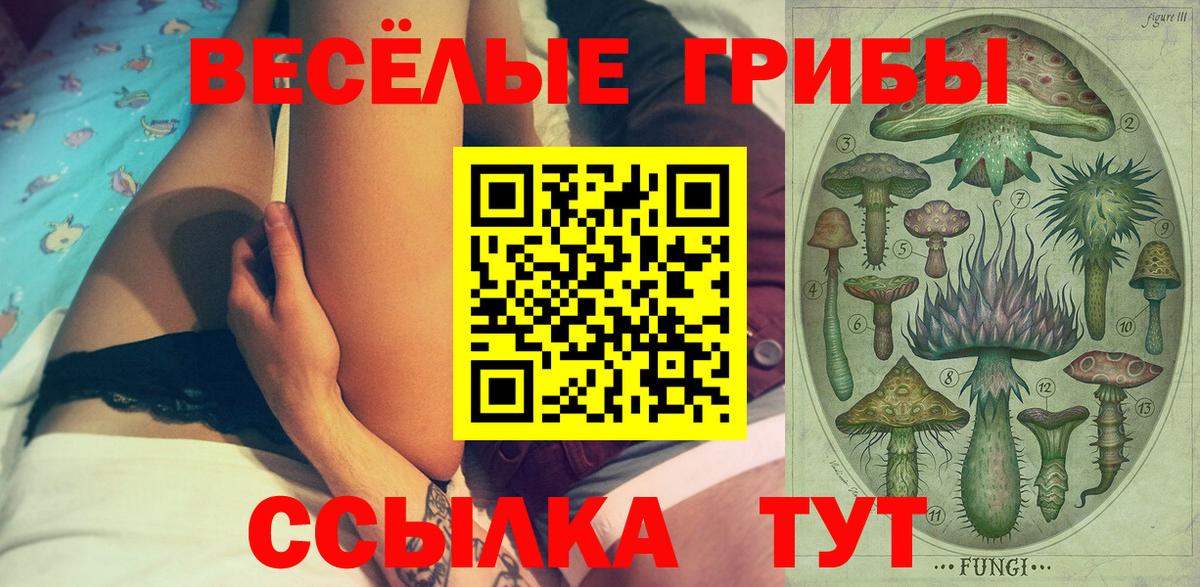 Псилоцибиновые грибы мицелий  Псилоцибиновые грибы Cubensis  Дюртюли  Вход с VPN 